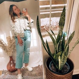 American Eagle Flannel